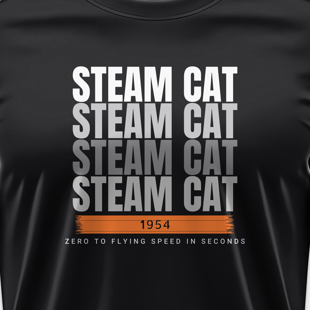 Steam Cat Era Echo Tee, front print detail
