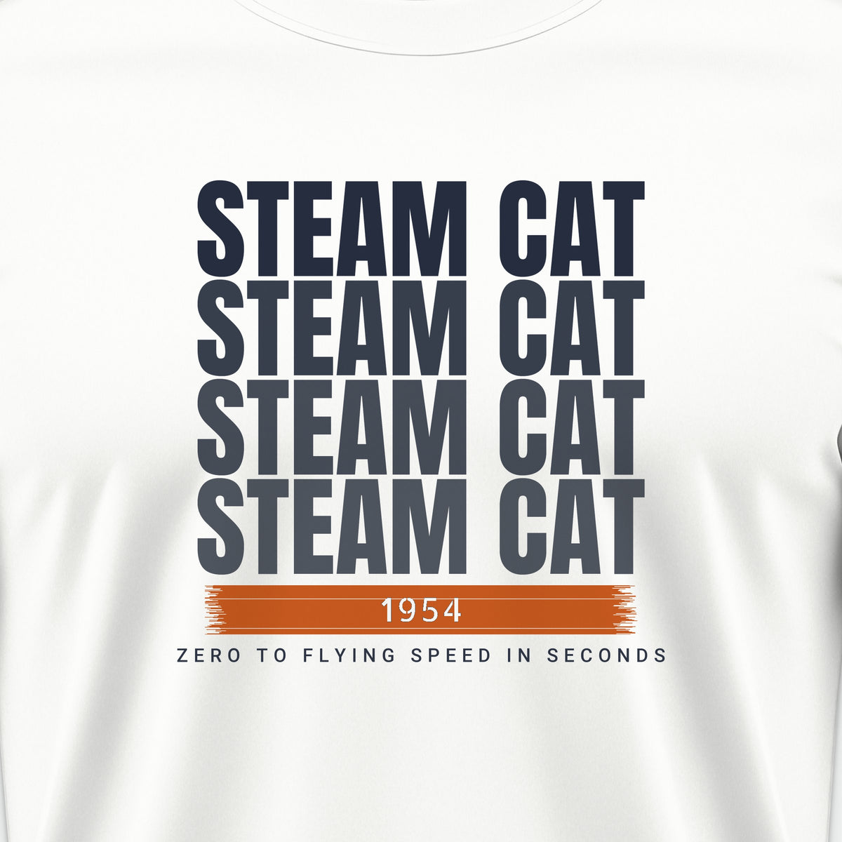 Steam Cat Era Echo Tee, front print detail