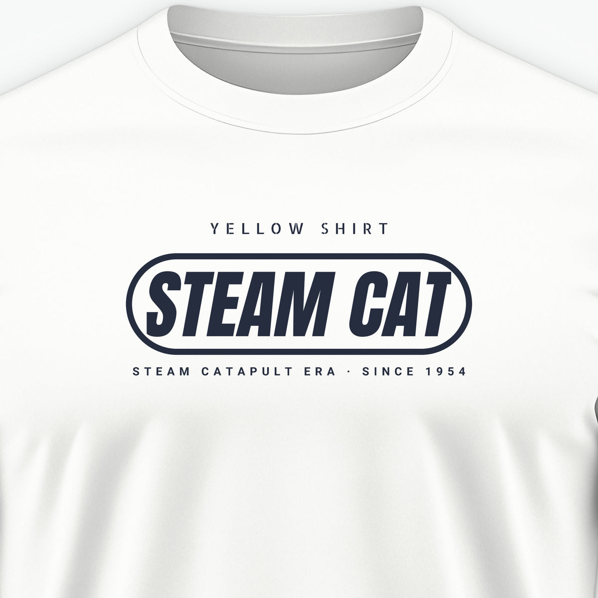 Steam Cat Era Pill Tee, front print detail