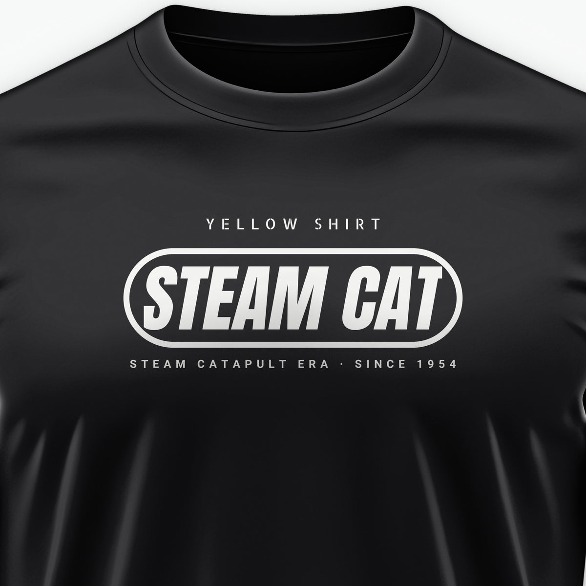 Steam Cat Era Pill Tee, front print detail