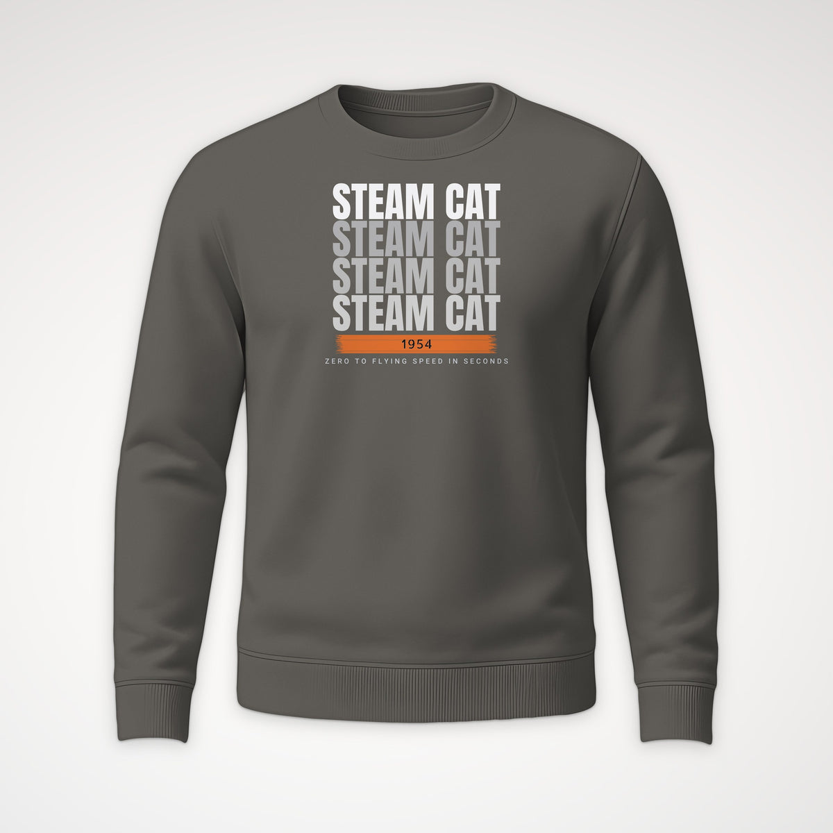 Steam Cat Era Echo Crewneck Sweatshirt in Charcoal