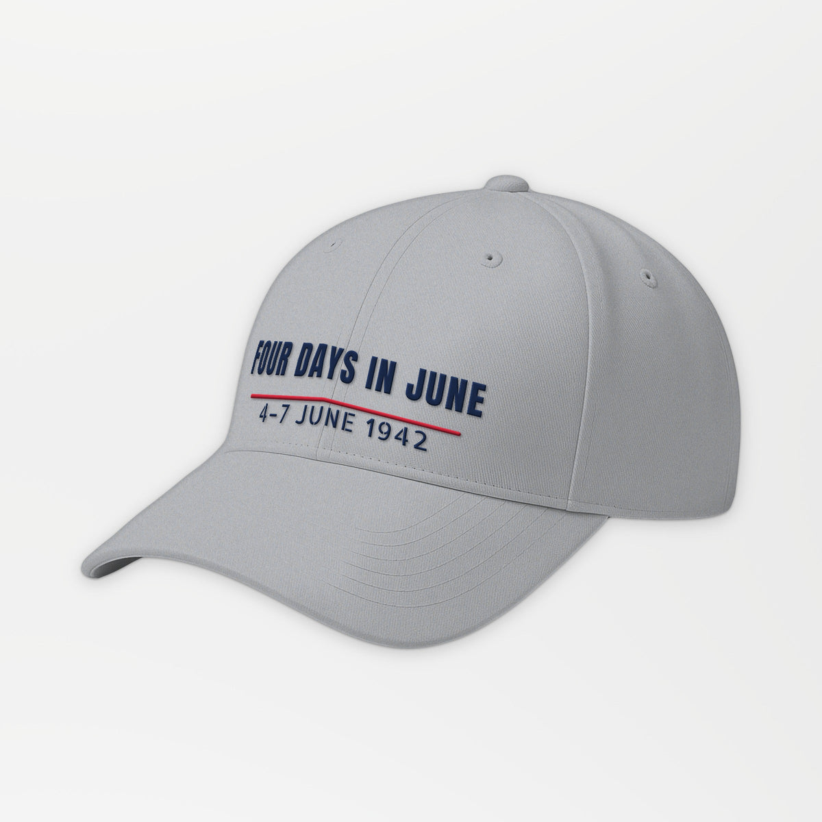 Four Days in June Embroidered Cap in Grey